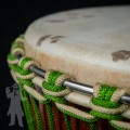 TGSS DJEMBE 3