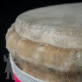 TGSS DJEMBE 5