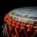 Djembe 2227