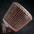 Djembe 2301