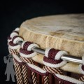 Djembe 2301