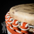 TGSS Djembe 20