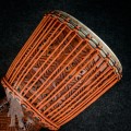 Djembe 2406