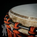 Djembe 2406