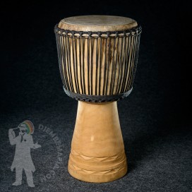 Djembe IL 2420