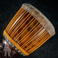 Djembe 2415 - The Black Cassia Series Nr.3