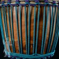 Djembe 2417 - The Black Cassia Series Nr.5