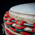 Djembe 2420