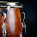 Congas PL 2501