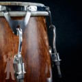 Congas PL 2502