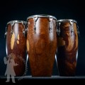 Congas PL 2502