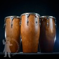 Congas PL 2503