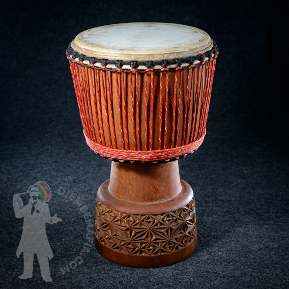 Djembe IL 2504