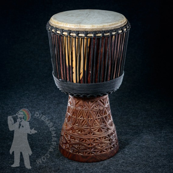 Djembe IL 2512