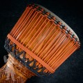 Djembe 2501